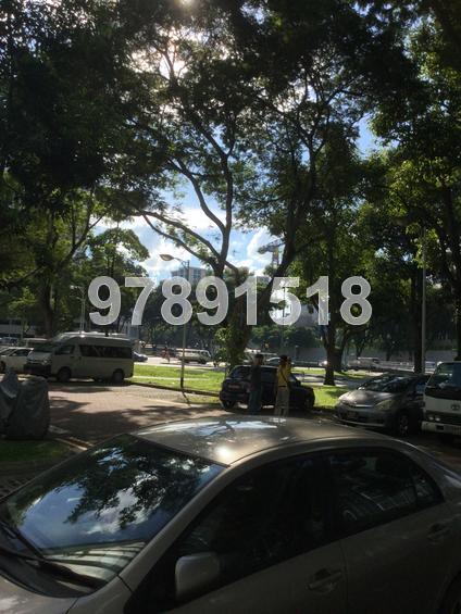 Blk 34 Whampoa West (Kallang/Whampoa), HDB 3 Rooms #137397732